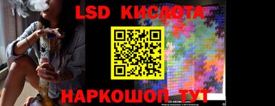 прущие грибы Усть-Илимск