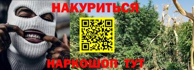 прущие грибы Усть-Илимск