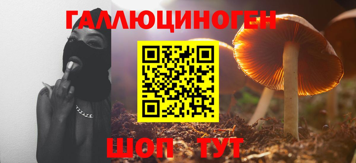 Благодарный  Псилоцибиновые грибы прущие грибы  Галлюциногенные грибы мицелий  Вход с VPN 